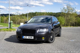 Audi A3 8P