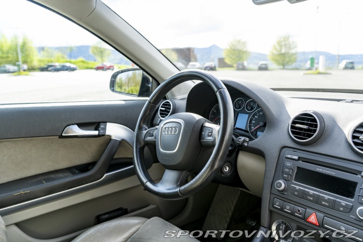 Audi A3 8P 2007