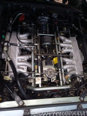Jaguar XJS Convertible V12 1990