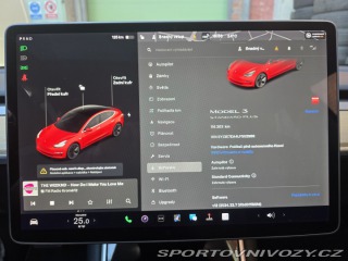 Tesla Model 3 Standart Range Plus 2019