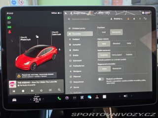 Tesla Model 3 Standart Range Plus 2019