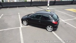 Peugeot 206 RC 2004