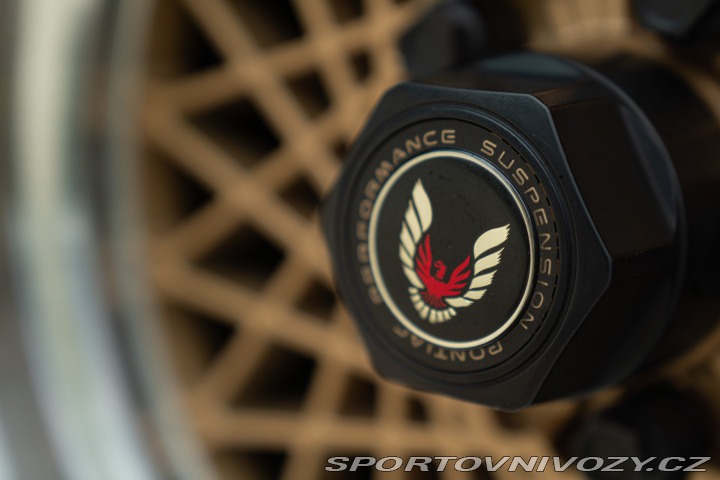 Pontiac Firebird TRANS-AM 1989