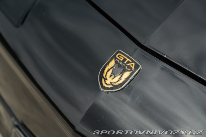 Pontiac Firebird TRANS-AM 1989