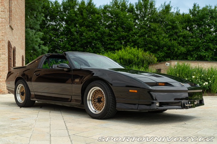 Pontiac Firebird TRANS-AM 1989