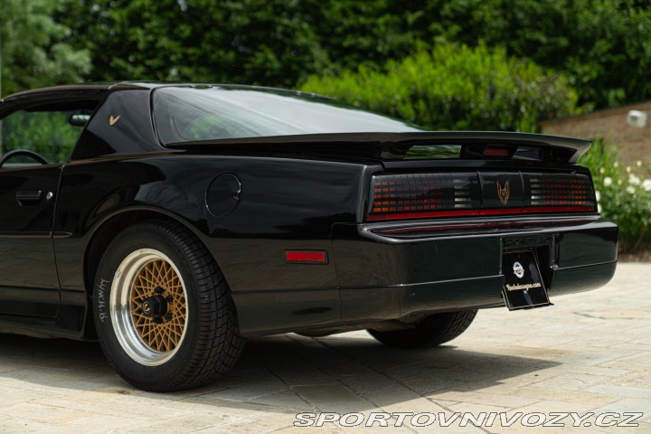 Pontiac Firebird TRANS-AM 1989
