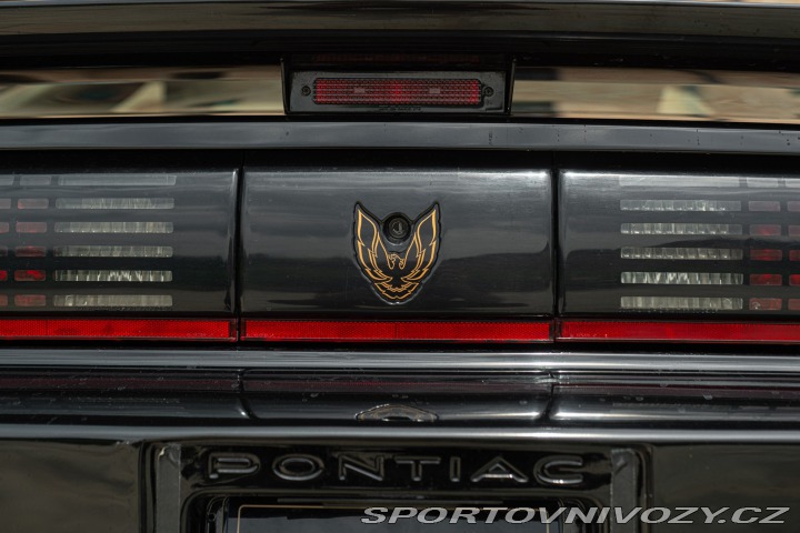Pontiac Firebird TRANS-AM 1989
