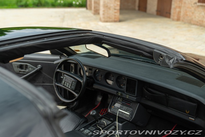 Pontiac Firebird TRANS-AM 1989