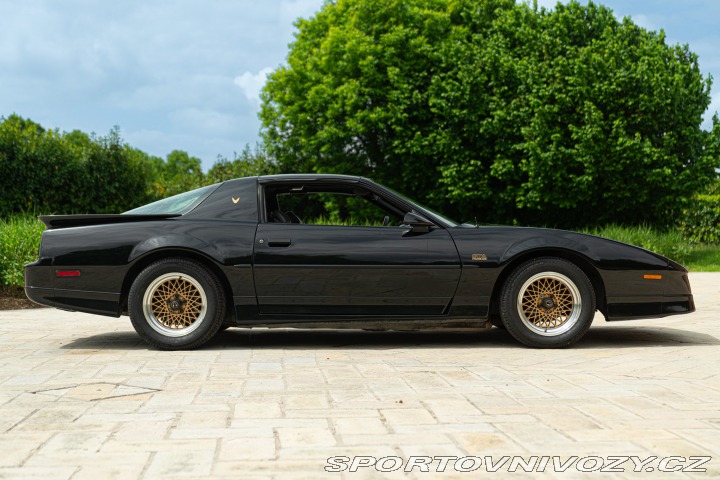 Pontiac Firebird TRANS-AM 1989