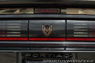 Pontiac Firebird TRANS-AM 1989