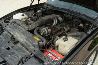 Pontiac Firebird TRANS-AM 1989