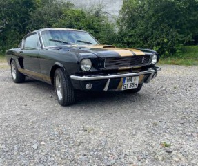 Ford Mustang Fastback GT350H