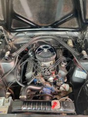 Ford Mustang Fastback GT350H 1965