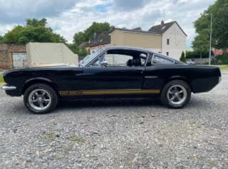 Ford Mustang Fastback GT350H 1965