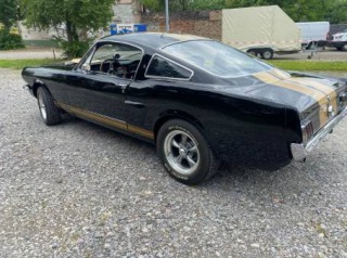 Ford Mustang Fastback GT350H 1965