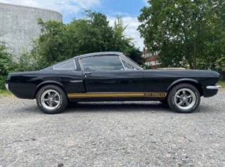 Ford Mustang Fastback GT350H 1965