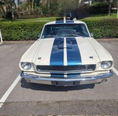 Ford Mustang Fastback GT350 A 1965