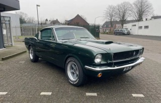 Ford Mustang GT350 1966