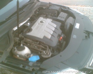 Volkswagen Ostatní modely Passat 2,0   4x4,automat,kůže,če 2010