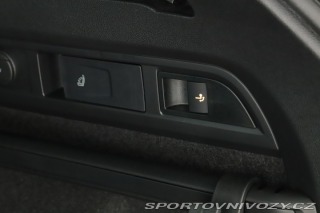 Škoda Kodiaq RS RS RS 2.0 TSI 2024