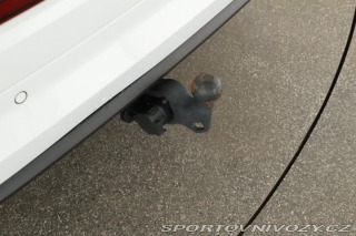 Škoda Kodiaq RS RS RS 2.0 TSI 2024