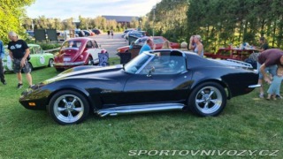 Chevrolet Corvette Stingray 5.7 V8 1973