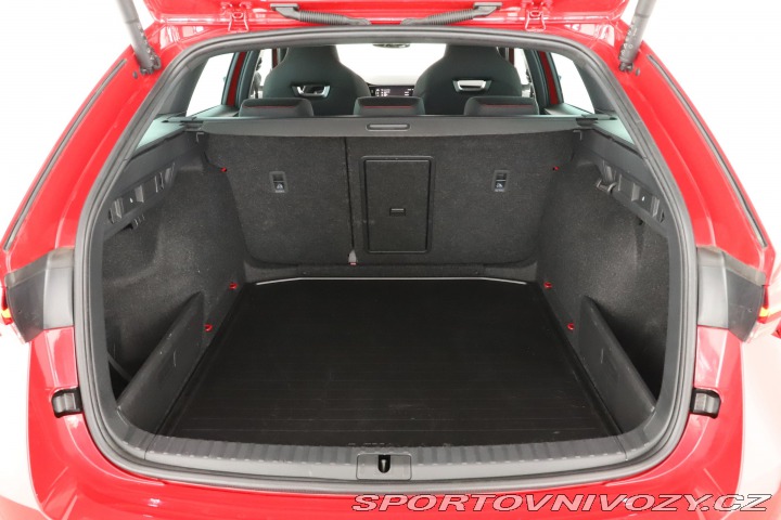 Škoda Octavia RS RS RS 2.0 TSI 2024