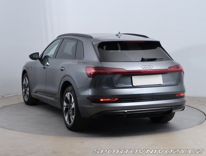 Audi Ostatní modely e-tron  e-tron 50 quattro 2019
