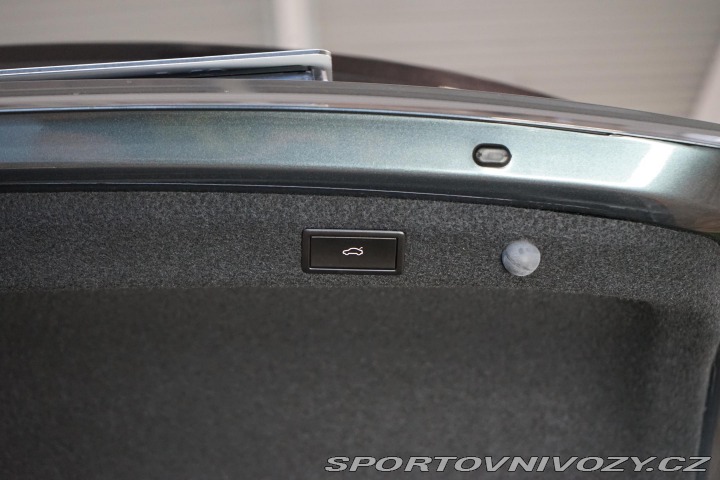 Škoda Octavia RS RS 2.0 TSI DSG ACC Canton 2021
