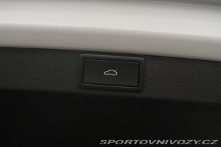 Škoda Octavia RS RS RS 2.0 TDI 2021