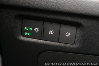 Škoda Octavia RS RS RS 2.0 TDI 2021