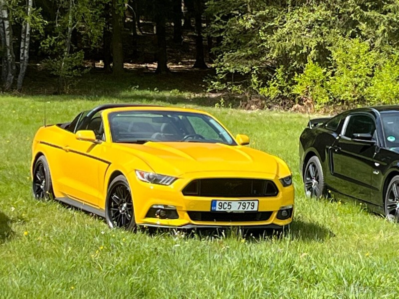 Ford Mustang 3,7   V6