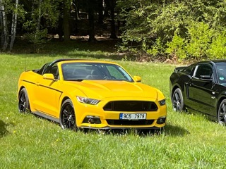 Ford Mustang 3,7   V6