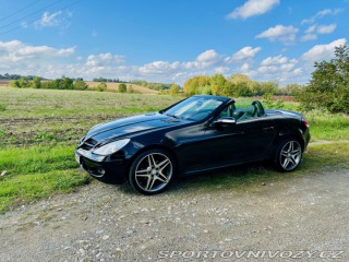 Mercedes-Benz SLK R171 2005