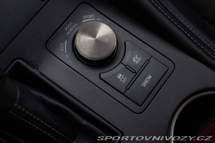 Lexus RC 300h Luxury 2016