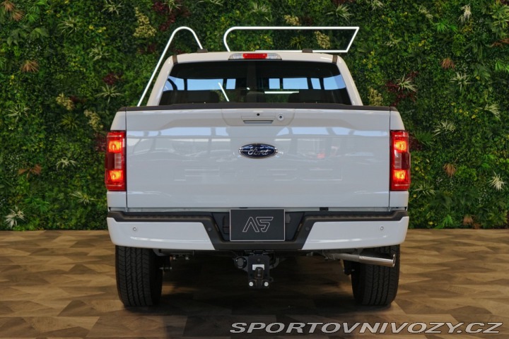 Ford Ostatní modely F-150 XLT*5.0*V8*75-YEARS*360*T 2025