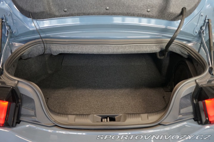 Ford Mustang 5.0*V8*CONVERTIBLE*PERFOR 2025