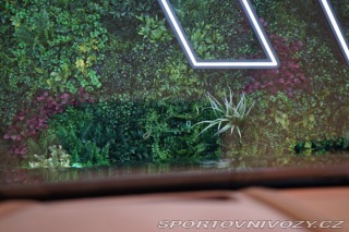 Lexus LC 500 5.0*V8*LUXURY*MARK*LE 2022