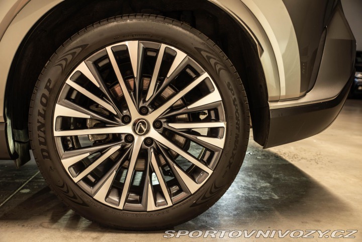 Lexus Ostatní modely RX 450h plus Executive+ 5let/160tkm zá 2023