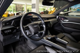 Audi Ostatní modely e-tron 55 quattro/Advanced 2019