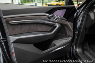 Audi Ostatní modely e-tron 55 quattro/Advanced 2019
