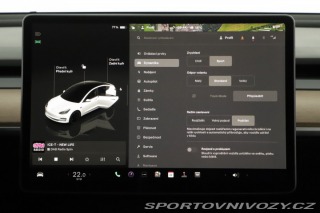 Tesla Model 3 Performance 82kWh 2022