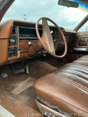 Ford Ostatní modely LTD 351 V8 1977