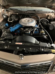 Ford Ostatní modely LTD 351 V8 1977