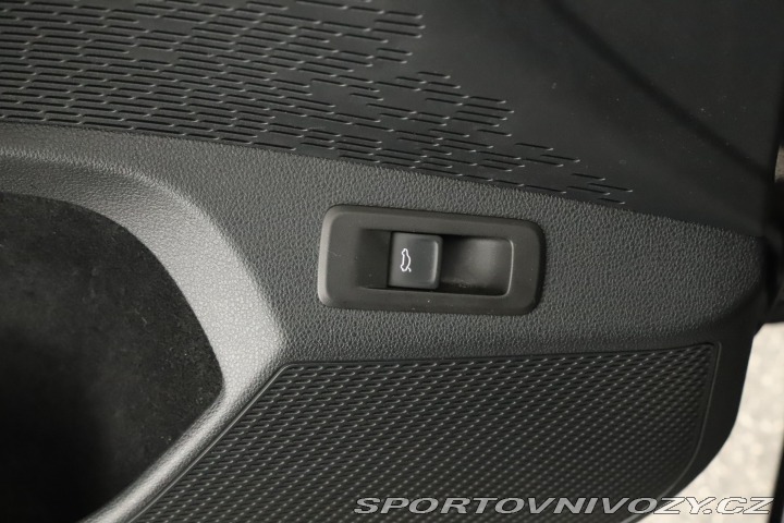 Škoda Octavia RS RS RS 2.0 TSI 2024