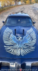 Pontiac Firebird 5.0 V8