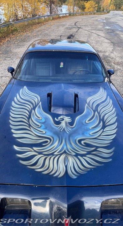 Pontiac Firebird 5.0 V8 1981