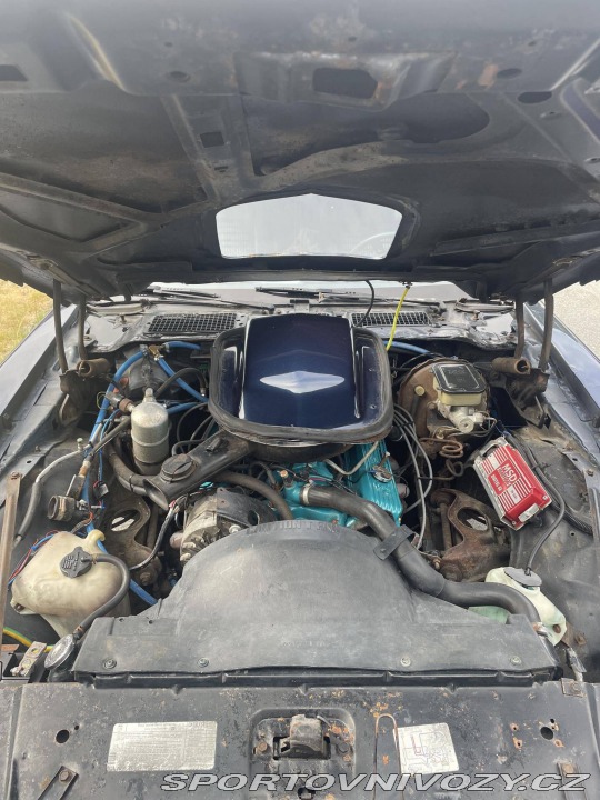 Pontiac Firebird 5.0 V8 1981
