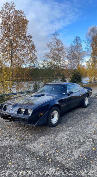 Pontiac Firebird 5.0 V8 1981