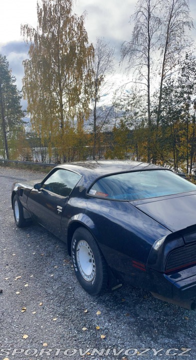Pontiac Firebird 5.0 V8 1981